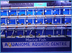 Aquahome Marine Section Front
