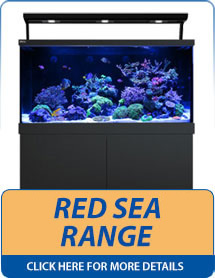 Red Sea Aquariums