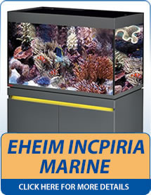 Aquahome Eheim Vivaline LED Aquariums